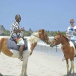 Fiji: Beach Horseback Riding Tour with Lunch and Transfer